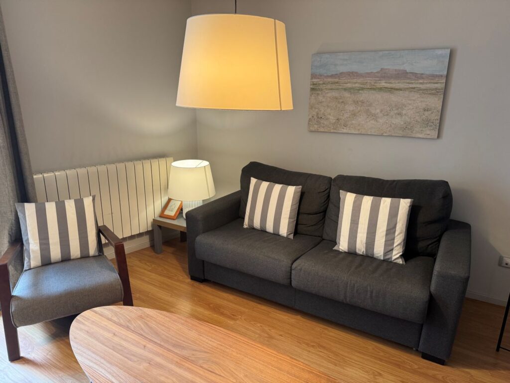 salon de los apartamentos la casa gris en tudela